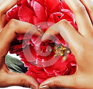 Manicure pedicure people hands concept, woman fingers in shape of heart holding pink rose flowers