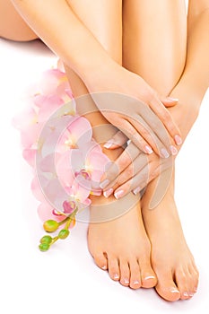 Manicure and pedicure with a pink orchid flower