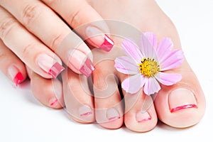 Manicure and pedicure relaxing with flowers