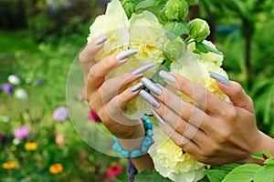 Manicure on real nails and yellow hollyhock flower