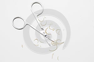 Manicure scissors and nail clipping on white background