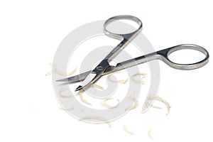 Manicure scissors and nail clipping on white background