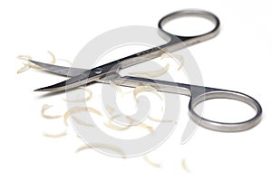 Manicure scissors and nail clipping on white background