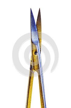 Manicure scissors on a white background