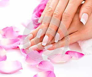 Manicure. Woman Hands Closeup