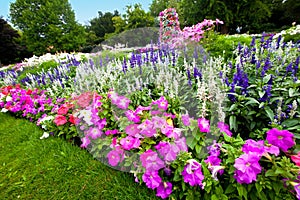 Manicured flower garden with colorful azaleas.
