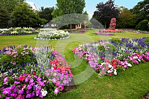 Manicured flower garden with colorful azaleas.