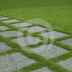 Manicured grass