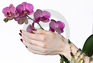 Manicured hand touching orchid