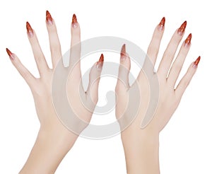 Manicured hands