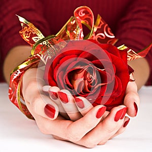 Manicured hands and golden ribbon holding red rose