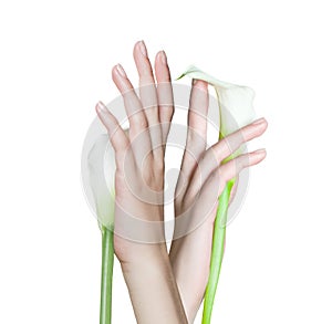 Manicured hands isolated on white. Female hands