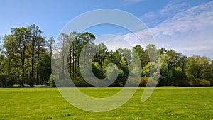 Manicured lawn in a neat Park with trees in the background