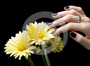 Manicured Nail with Black Matte Nail Polish. Manicure with Dark