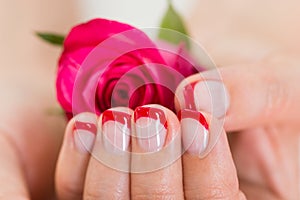 Manicured Nail With Nail Varnish Holding Rose
