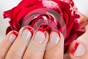 Manicured Nail With Nail Varnish Holding Rose