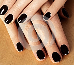 Manicured nails with black nail polish. Manicure with dark nailpolish. Fashion art manicure with shiny gel lacquer
