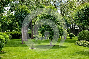 Manicured park with green plants on a green lawn with meadow and trees.