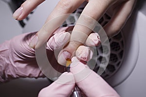 The manicurist applies a base layer to the client`s nail. Applying a transparent varnish with a brush on the background of a vacu