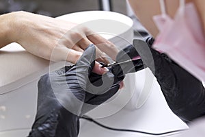 A manicurist applies a lilac gel with a brush on the client`s nails close-up. photo