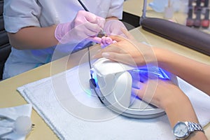 Manicurist master painting client`s nails gel shellac, another hand in UV lamp.