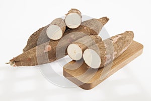 Raw yucca on white background-Manihot esculenta. Cassava raw tuber photo