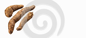 Manihot esculenta raw cassava tuber - Yuca