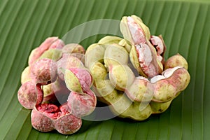 Manila tamarind (Pithecellobium dulce Benth.) fruit isolated on white background