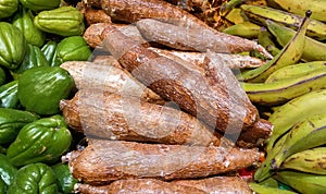 Maniok Cassava on market table