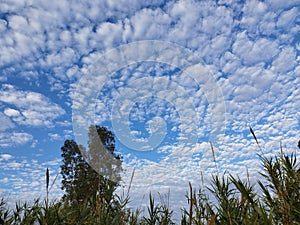 ManipulaciÃ³n weather haarp