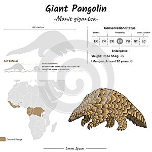 Manis gigantea Giant pangolin geographic range