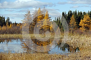 Manitoba Fall Reflection photo