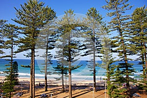 Manly Beach Australia