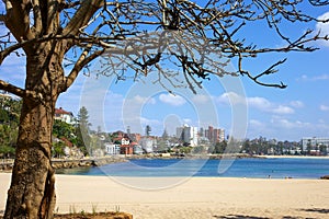 Manly Beach Australia