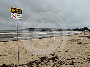 Manly Beach Pollution After Storm