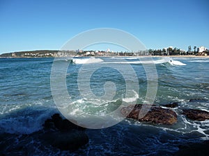 Manly surfers