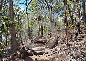 Stone steps in bushland photo