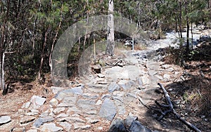 Stone steps in bushland manmade or place photo