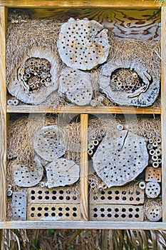 Manmade Wooden Protective Bee Hive