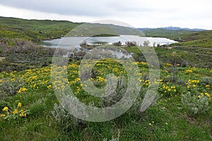 Mann Creek Reservoir, Idaho