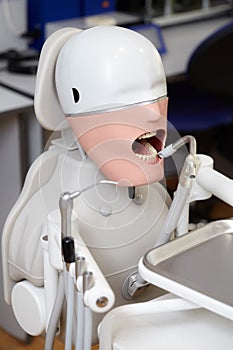 Mannequin or dummy for dentist students training in dental faculties photo
