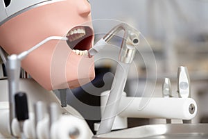 Mannequin or dummy for dentist students training in dental faculties photo