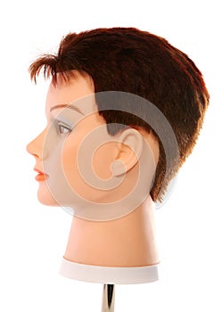 Mannequin Dummy Head Side