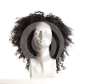 Mannequin Female Head with Wig