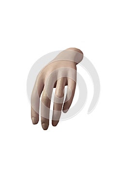Mannequin hand on a white background.