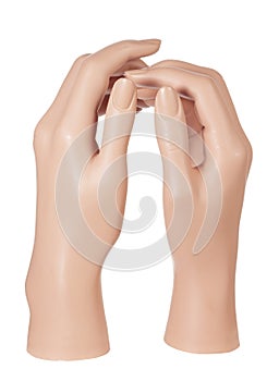 Mannequin Hands