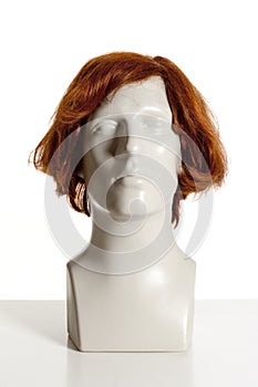 Mannequin Male Head with Wig
