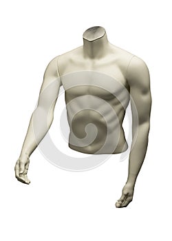 MANNEQUIN OF MALE TORSO ON WHITE BACKGROUND