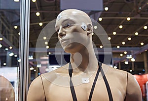 Mannequin and medical sensors