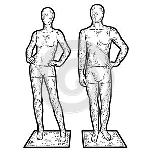 Mannequins for a showcase of a clothing store. Engraving vector illustration.
